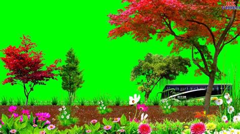 backgrounds for green screen free.